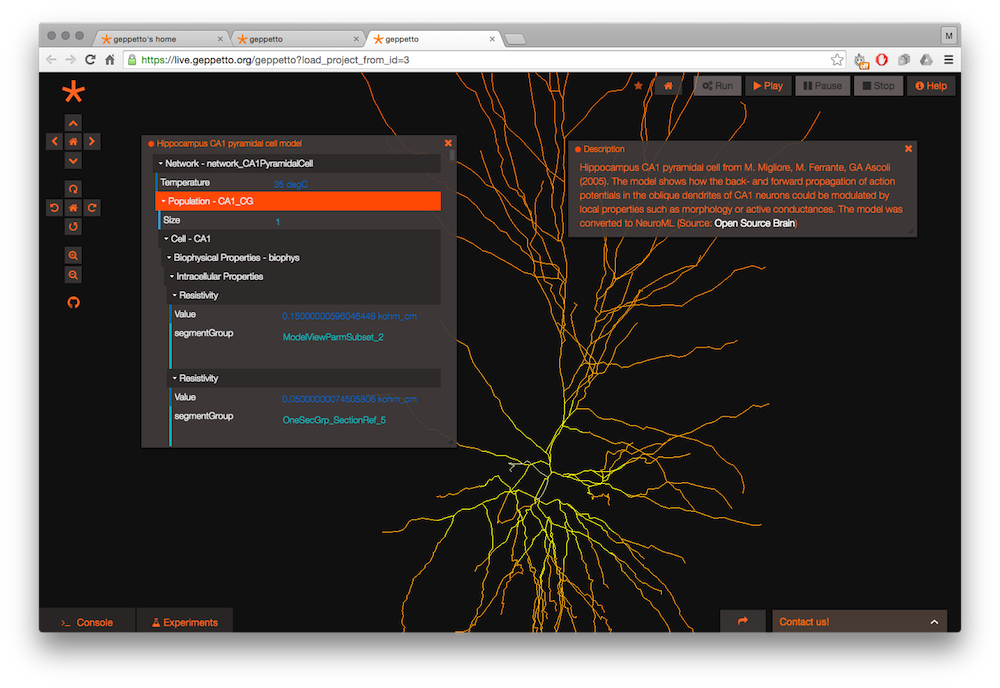 A hippocampus CA1 pyramidal cell model from Open Source Brain, its branching morphology rendered beside the biophysical parameter tree